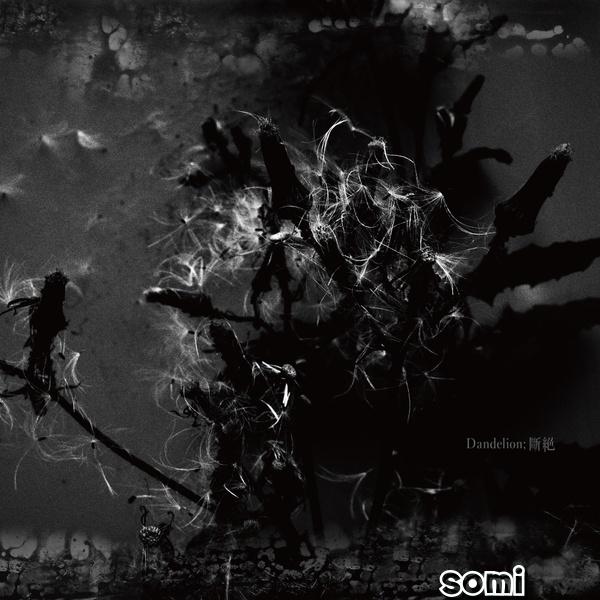 Image Cover
